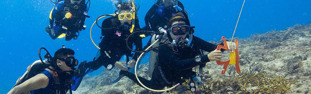 PADI Drift
