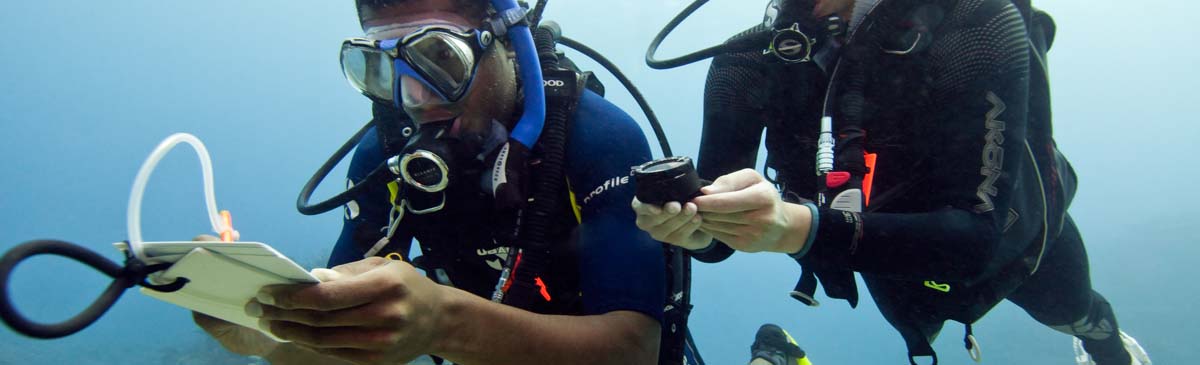 PADI Navigatie