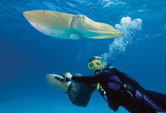 PADI Delayed Surface Marker Buoy