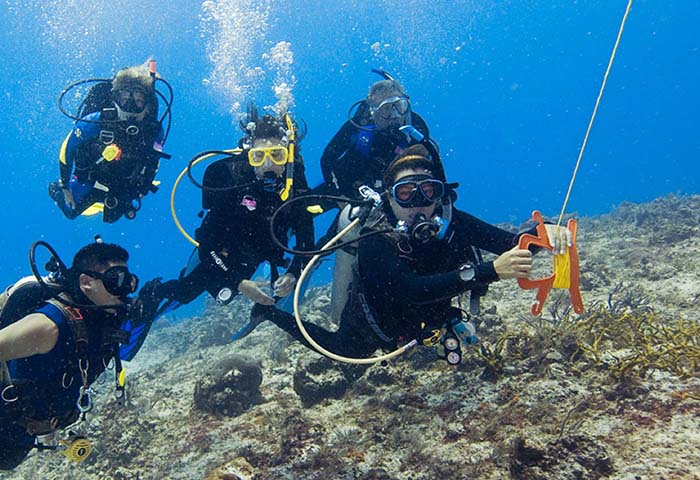 PADI Drift