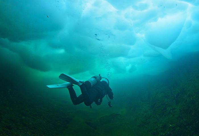 PADI Ice Diver