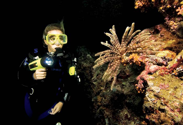PADI Nacht
