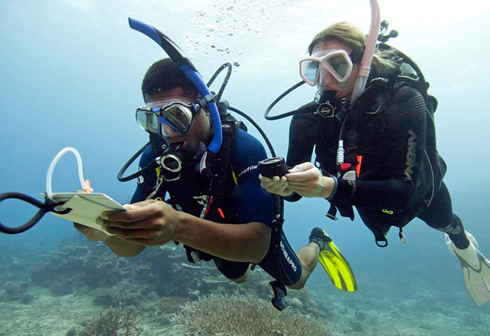 PADI Navigatie
