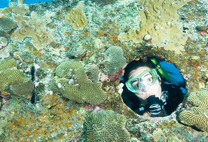 PADI Wrak