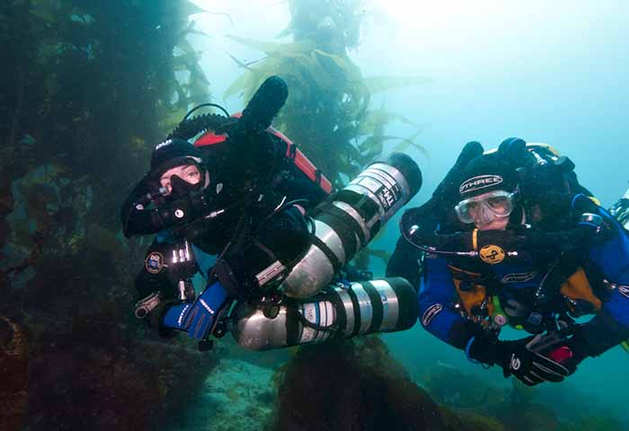 CCR ART Diver